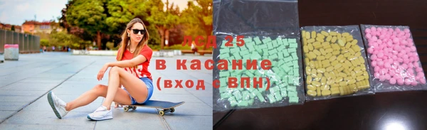 шишки Аркадак