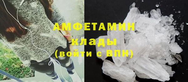 шишки Аркадак