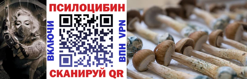 Галлюциногенные грибы MAGIC MUSHROOMS Кубинка