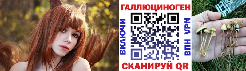 купить  сайты  Кубинка  Псилоцибиновые грибы Psilocybine cubensis 